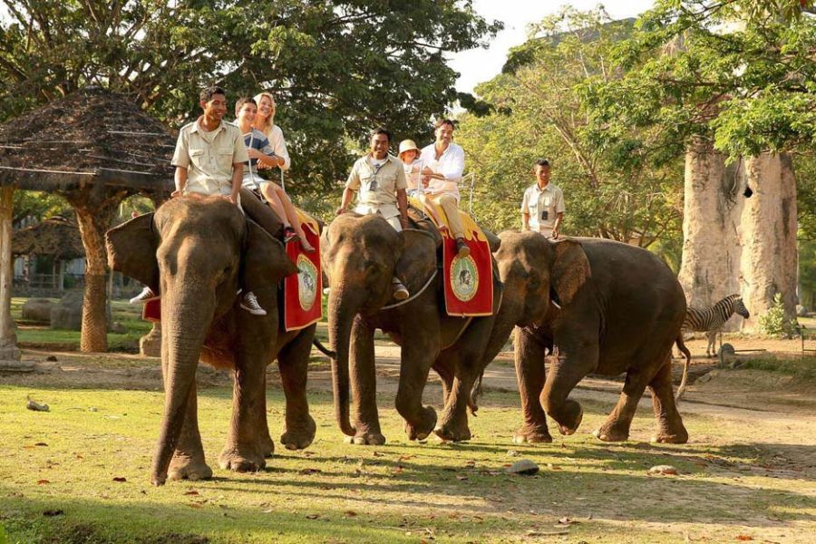 Elephant Back Safari Package – Bali Safari and Marine Park