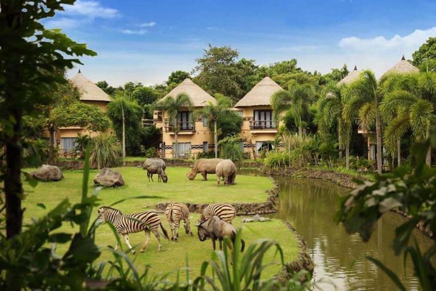 Dragon Package – Bali Safari and Marine Park