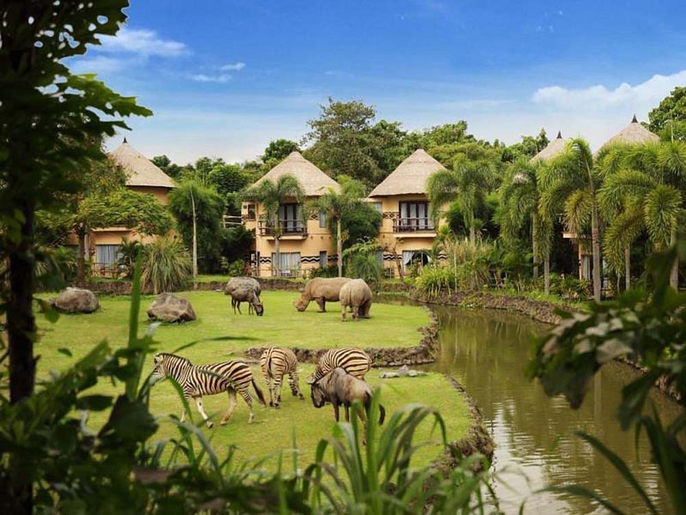 Rhino Package – Bali Safari and Marine Park