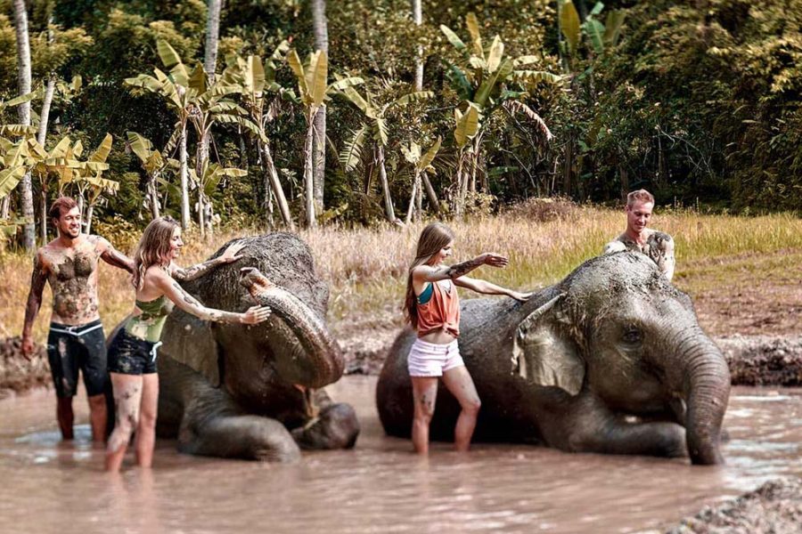 Elephant Mud Fun at Bali Zoo Park
