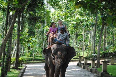 Elephant Park Tour – Elephant Safari Park Lodge