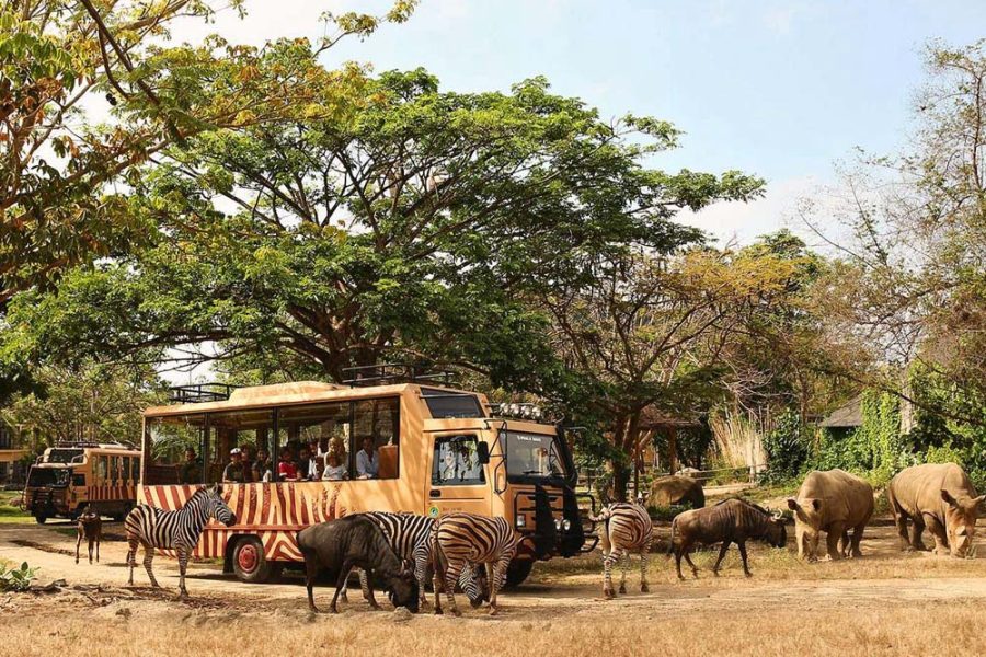 Jungle Hopper – Bali Safari and Marine Park