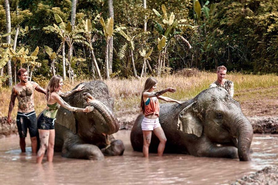 Elephant Mud Fun at Bali Zoo Park