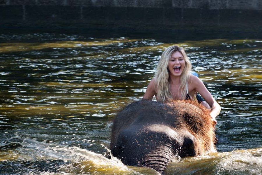 Elephant wash, Bathe and Breakfast – Elephant Safari Park Lodge