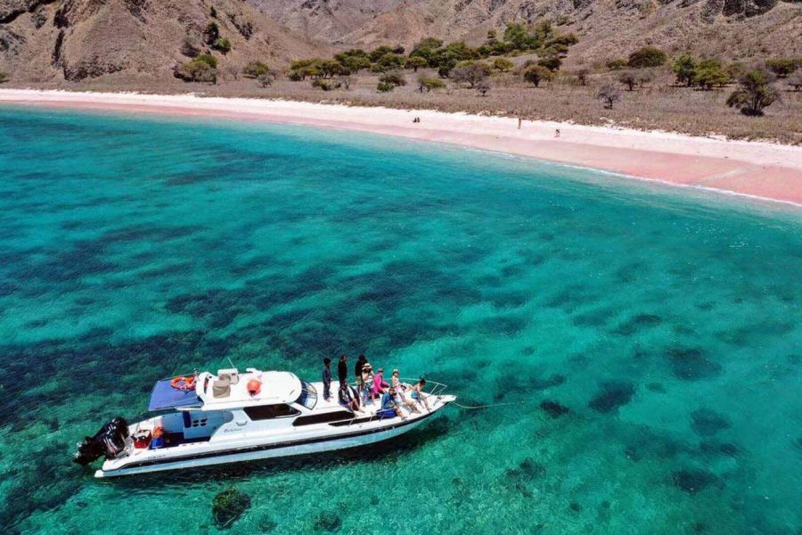 Komodo Cruise One Day Trip