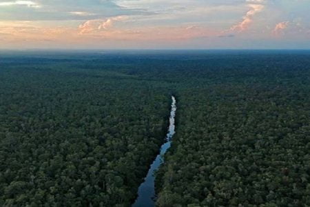 5D4N Orangutan Houseboat and Dayak Tour