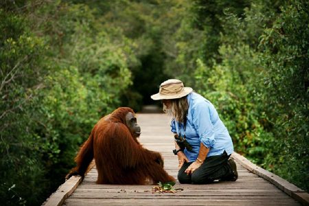 Orangutan Borneo Houseboating 4D3N