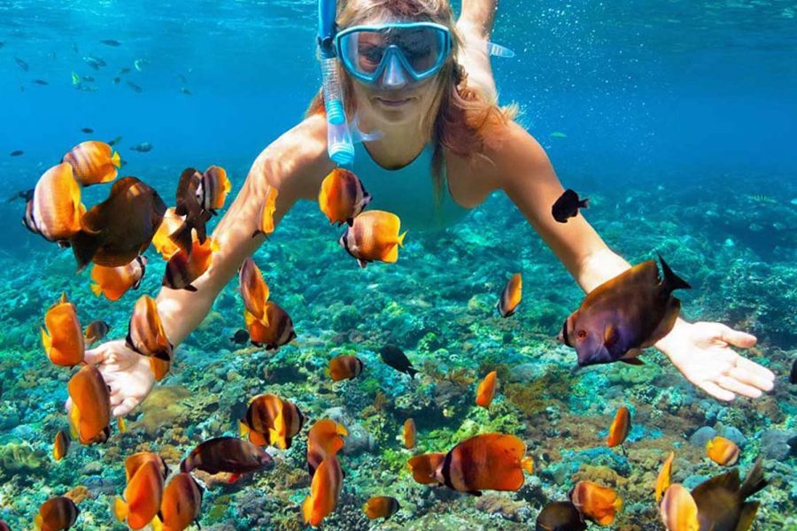 Snorkeling Trip Nusa Penida