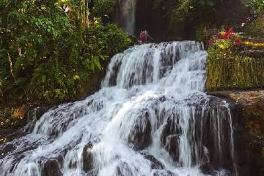 Ubud Highlight and Waterfall Tour